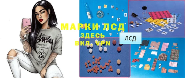 стафф Алзамай