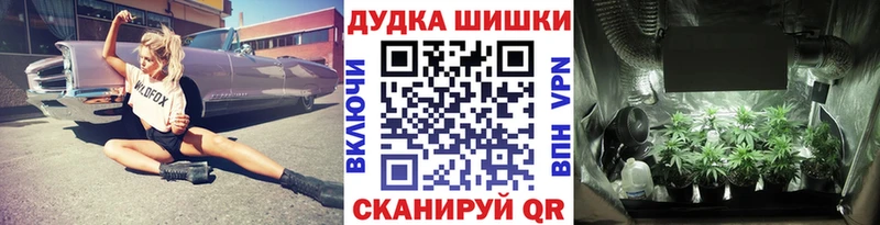 где продают   Осинники  Конопля Bruce Banner 
